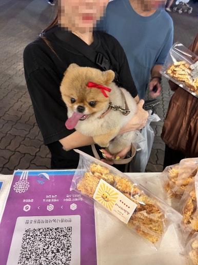 22f032fed6ab7.jpg