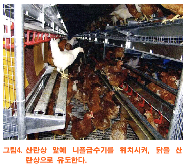 227e735ed08a3.png