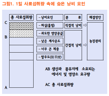 a55e236300dbb.png