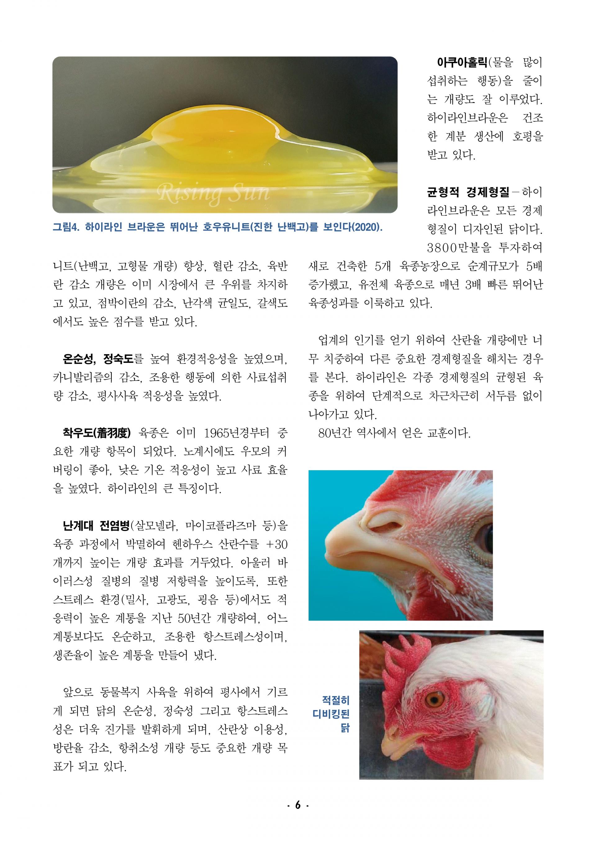 2026 하이라인브라운 사양관리기록부_page-0008.jpg