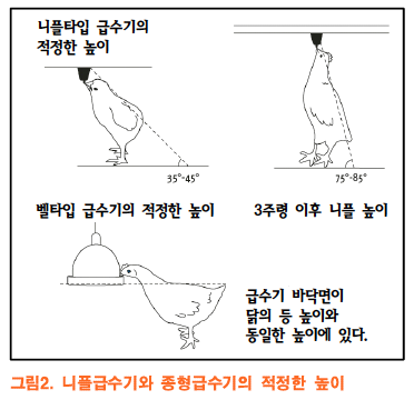 ed416d64e4d9e.png