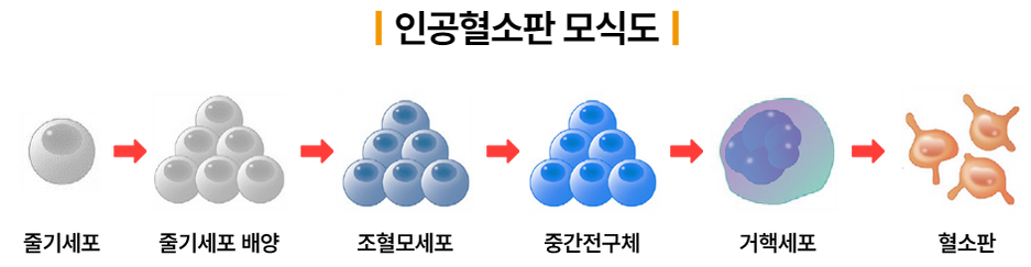 505d29eafd3e6.png