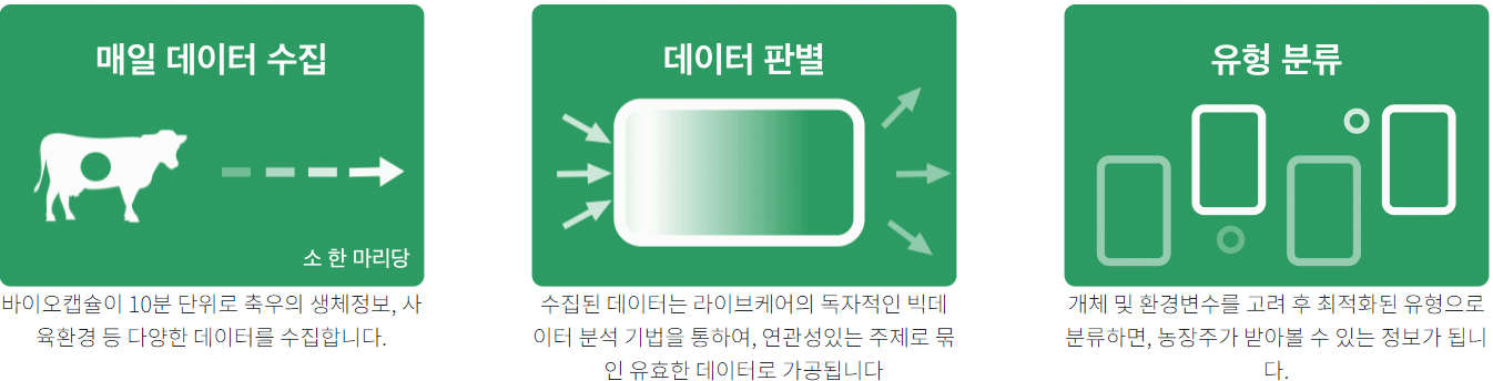 e9539fa68a619.png