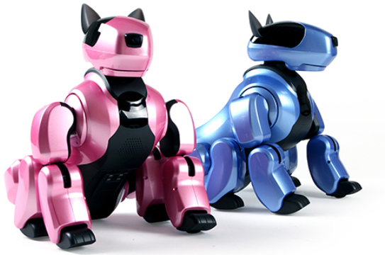 ee6d3142e9817.png