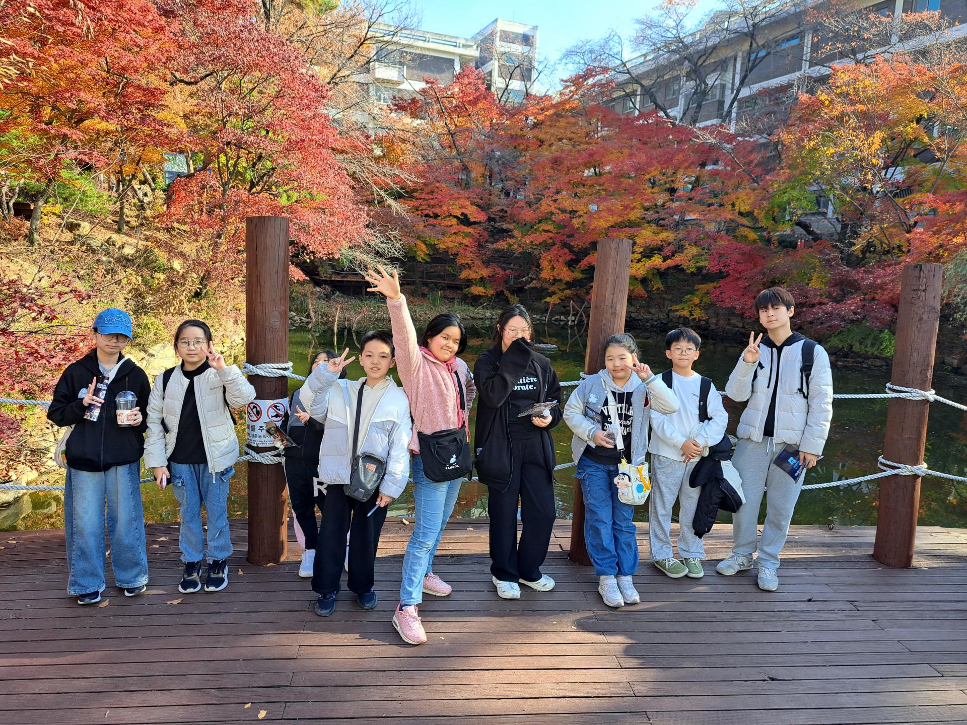 3a644dab15ce9.jpg