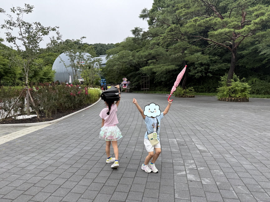 3d9515334fd34.jpg