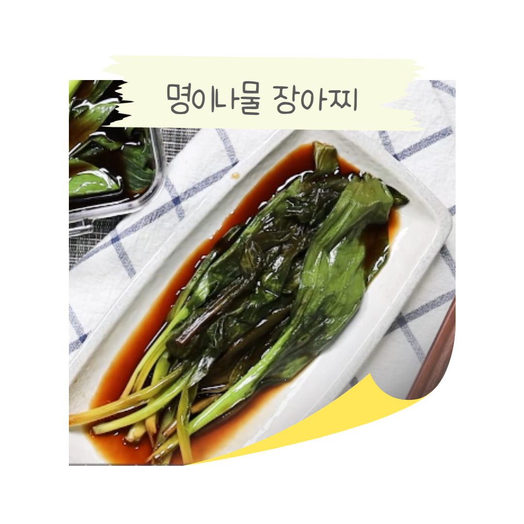 마늘 풍미를 가진 산마늘 ! 명이나물장아찌 레시피 : 철따라농산물 커뮤니티