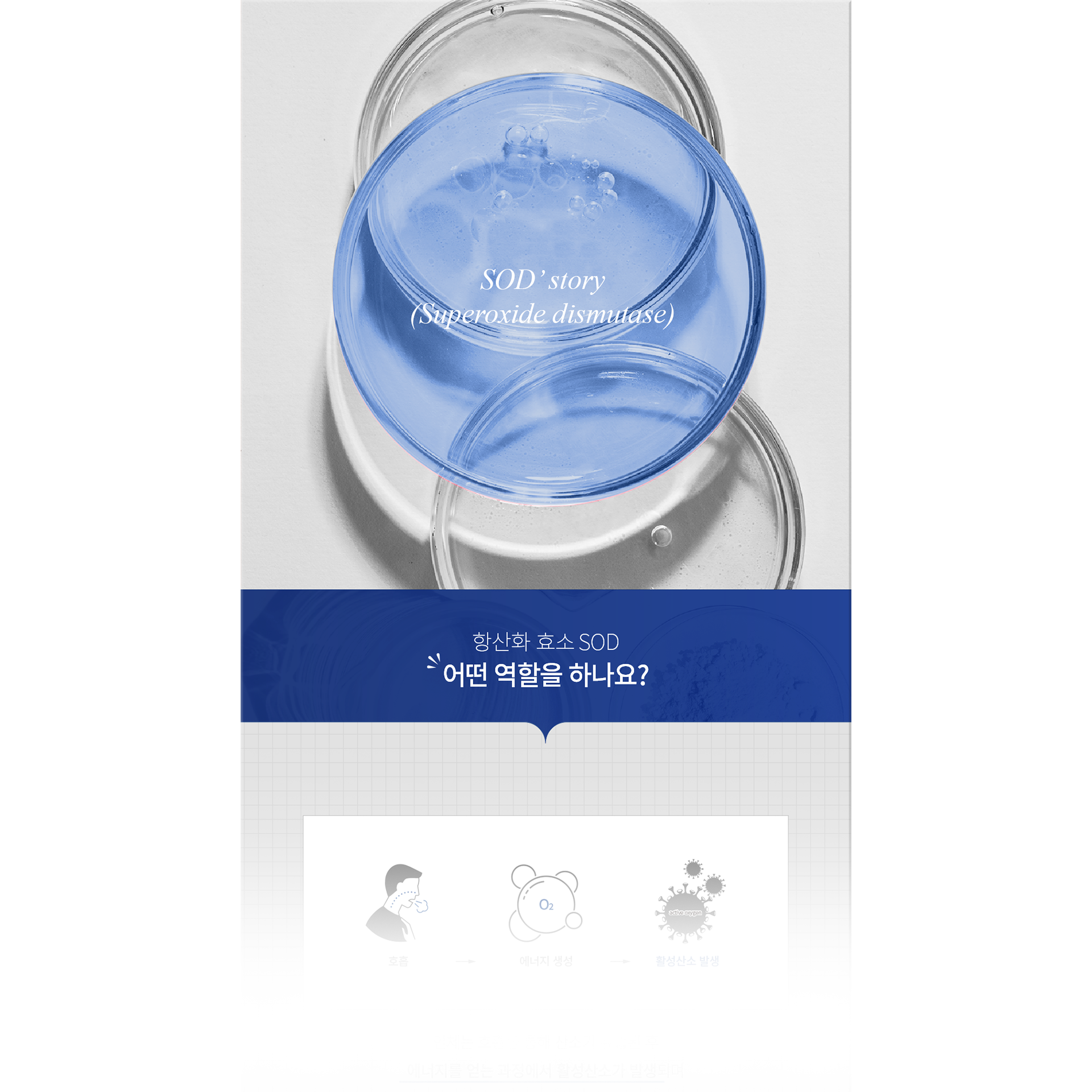 SODLAB _NAWAMO_Perfect Treatment