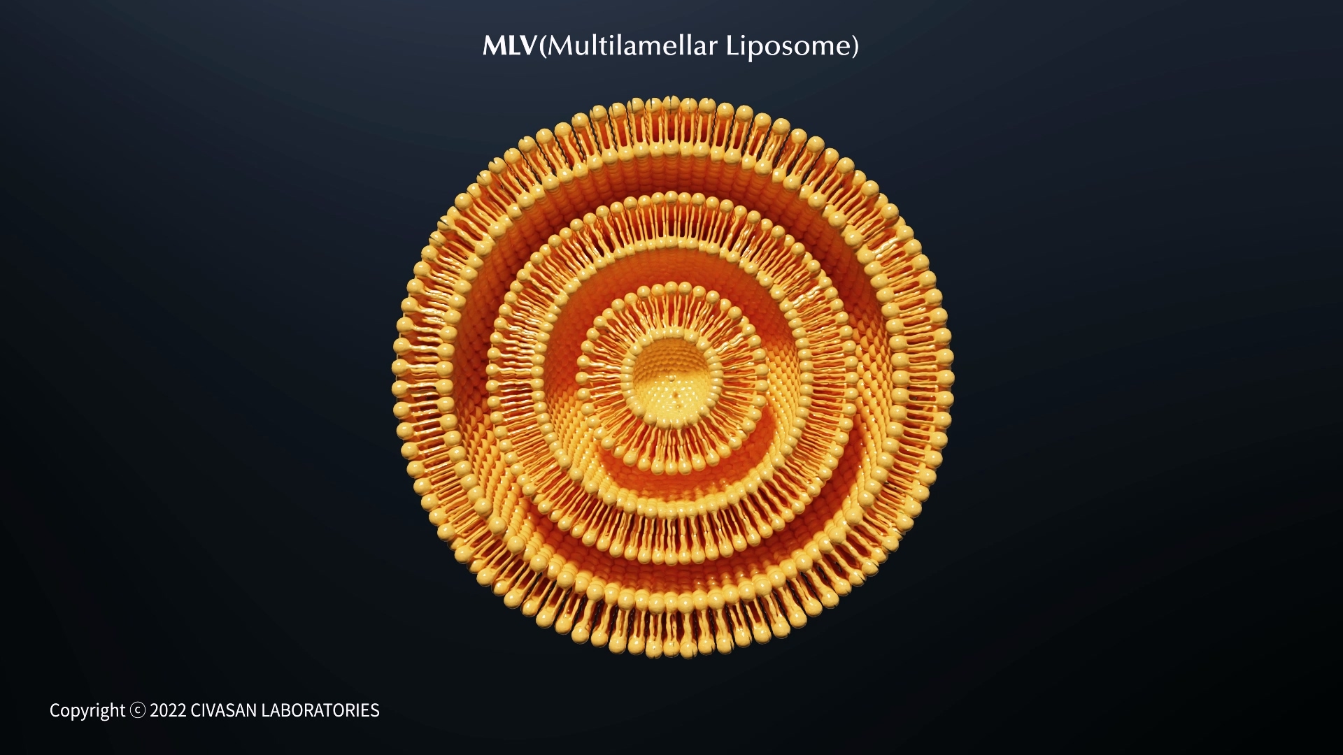 Beaucaire cosmetic_Liposome education motion graphic