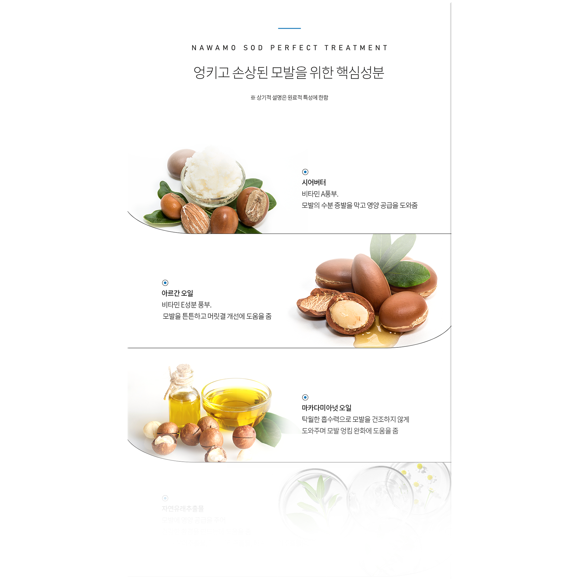 SODLAB _NAWAMO_Perfect Treatment
