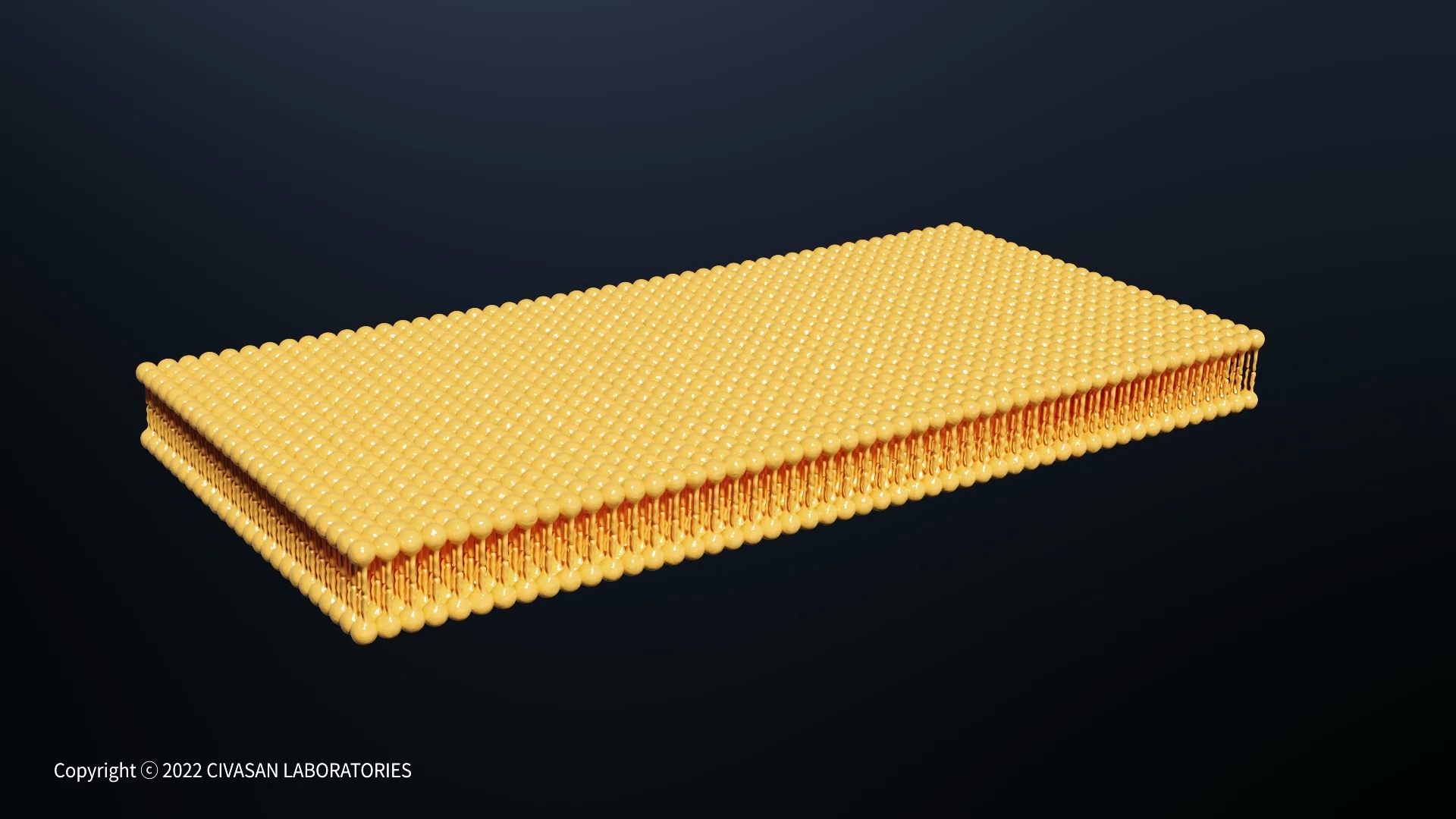 Beaucaire cosmetic_Liposome education motion graphic