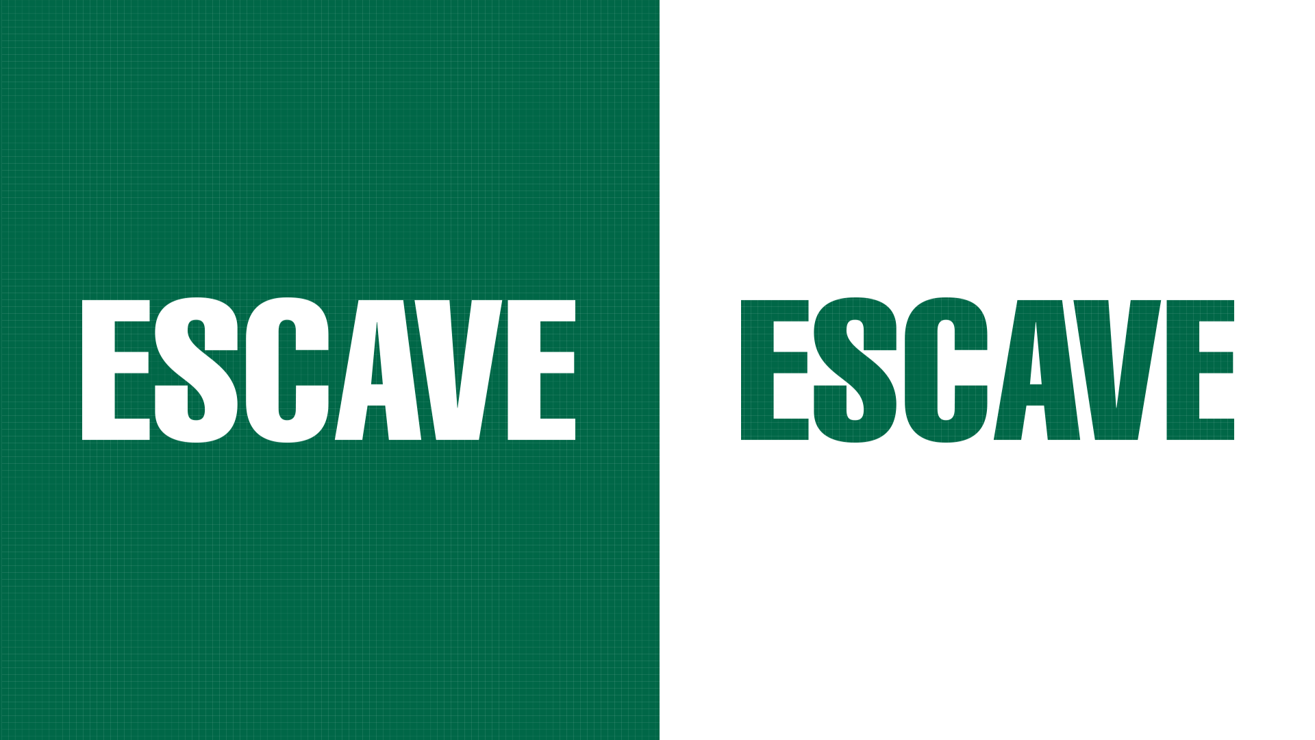 ESCAVE_Home scalp care solution