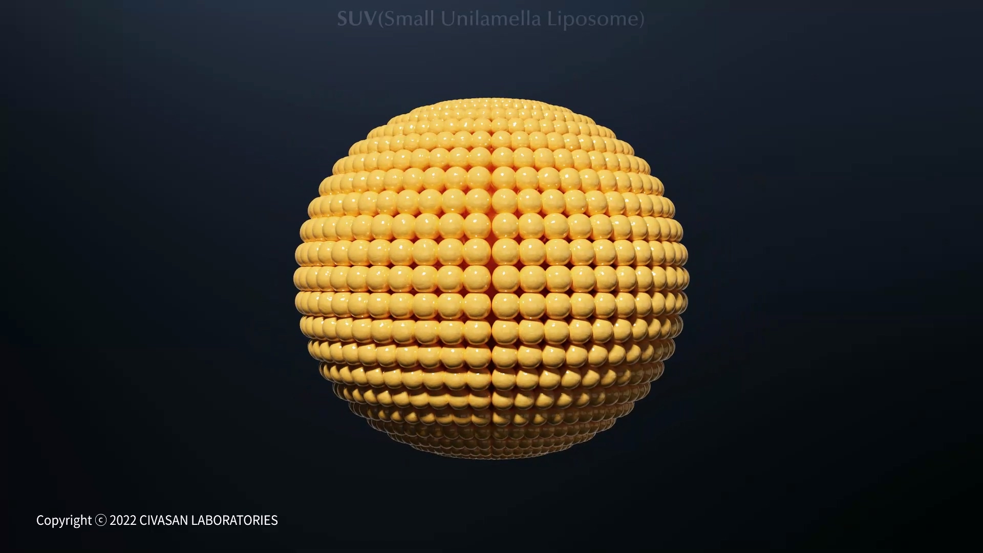 Beaucaire cosmetic_Liposome education motion graphic