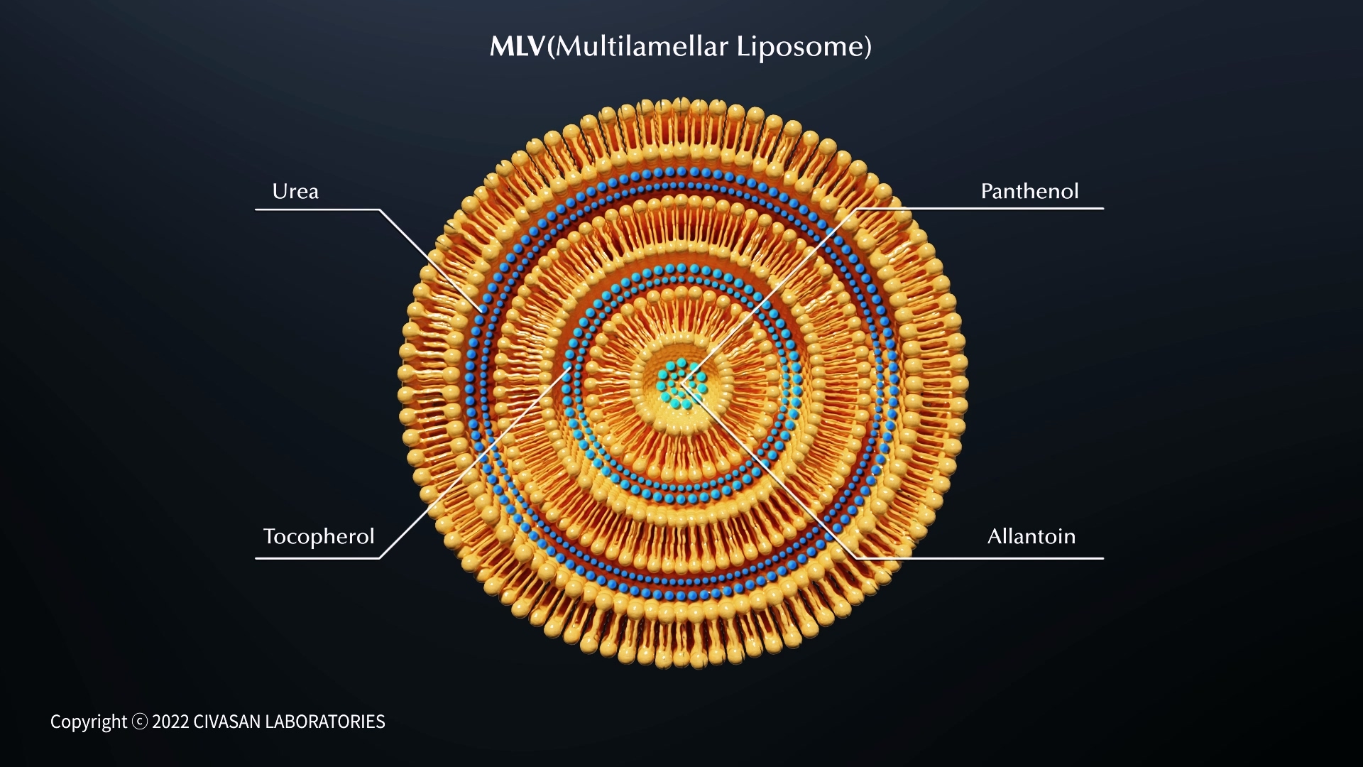 Beaucaire cosmetic_Liposome education motion graphic