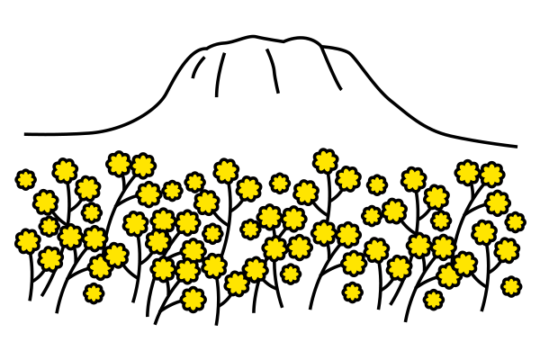 249c01a9b560d.png