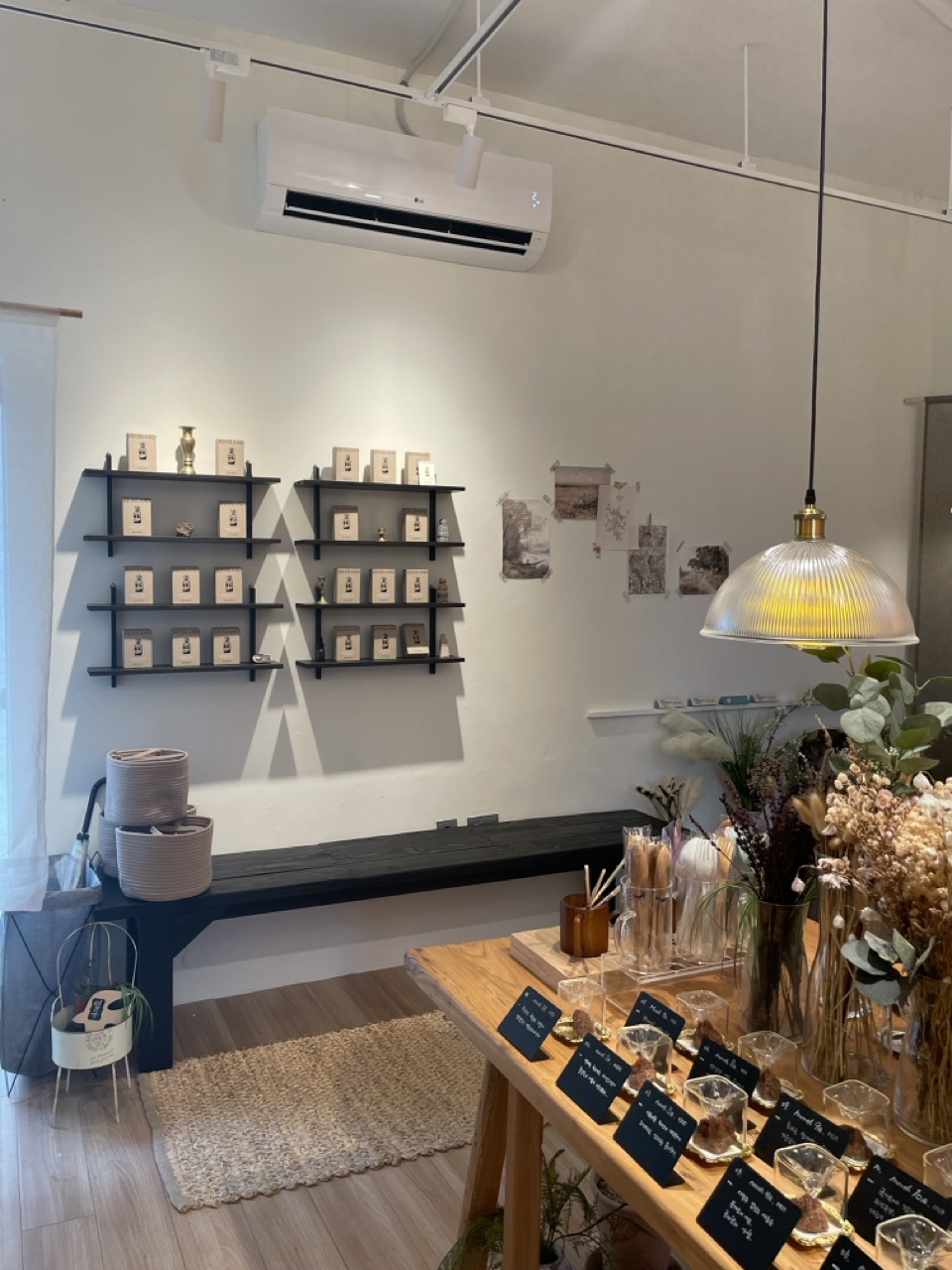 IMG_8249 크게.jpeg