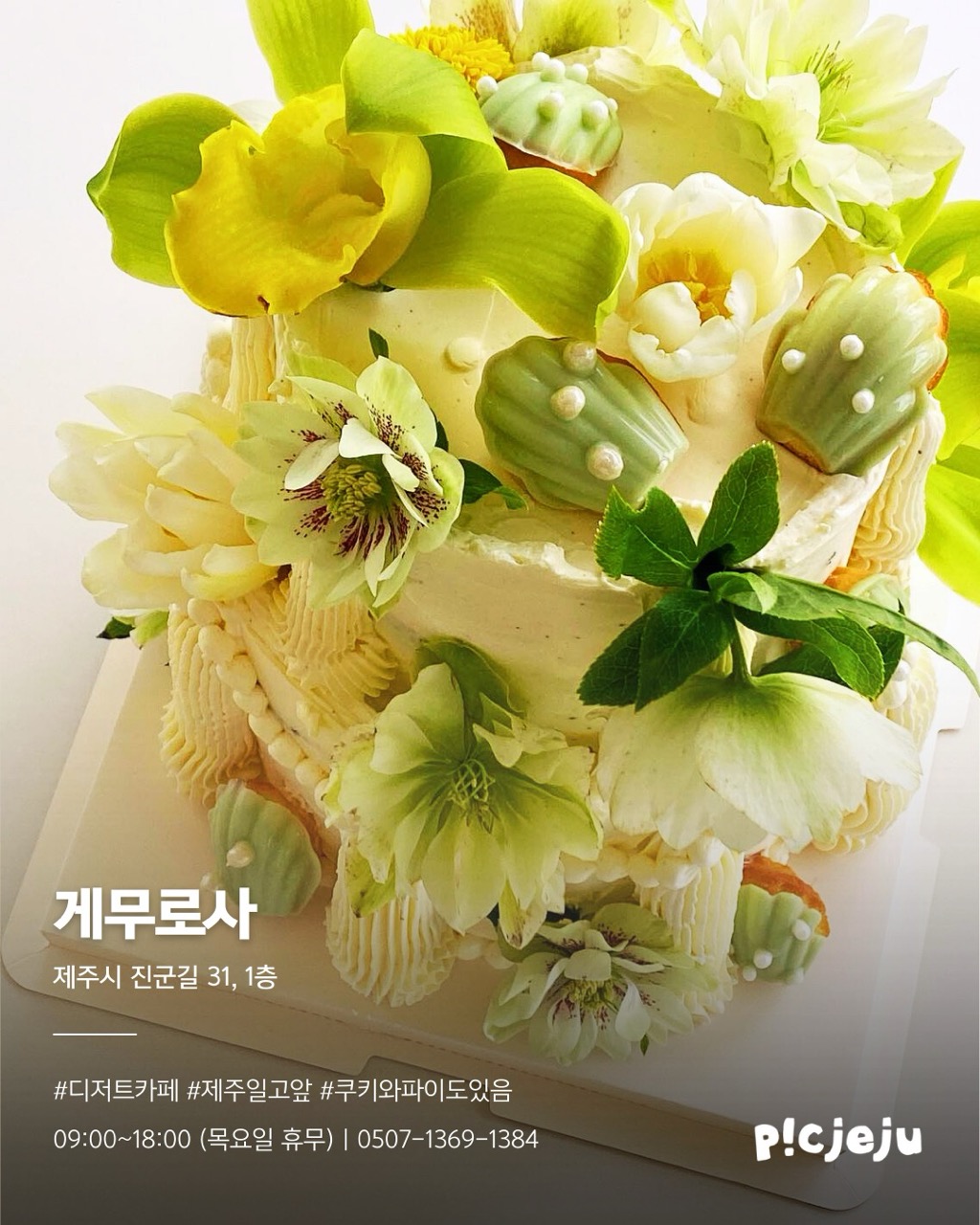 2.게무로사 크게.jpeg