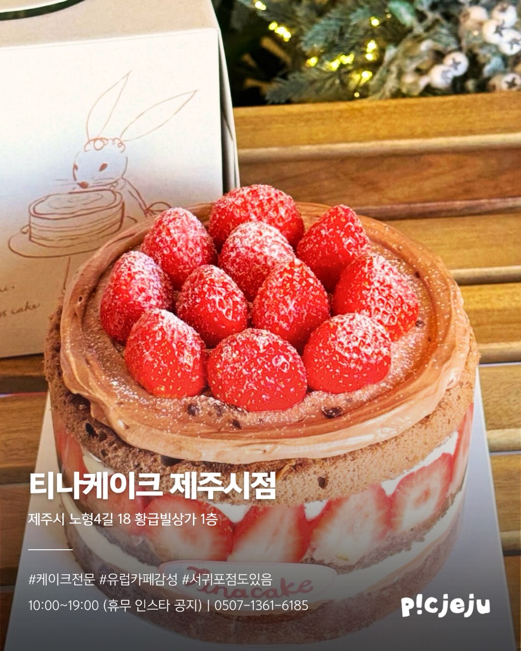 13.티나케이크 크게.jpeg