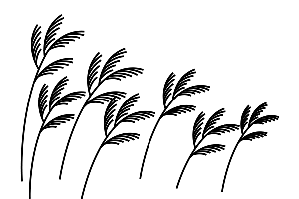 5ab634f5c4411.png