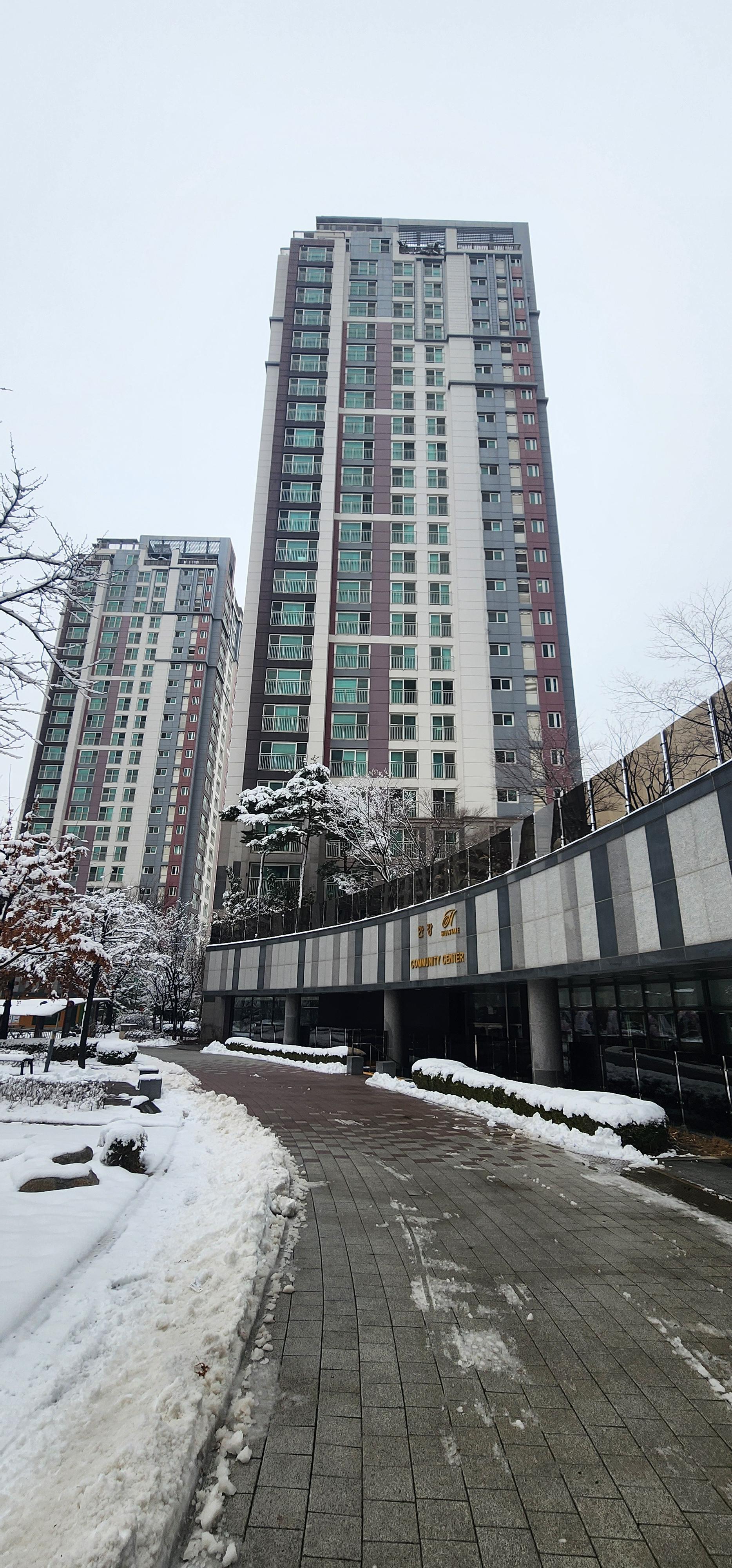 75bcd39772b56.jpg