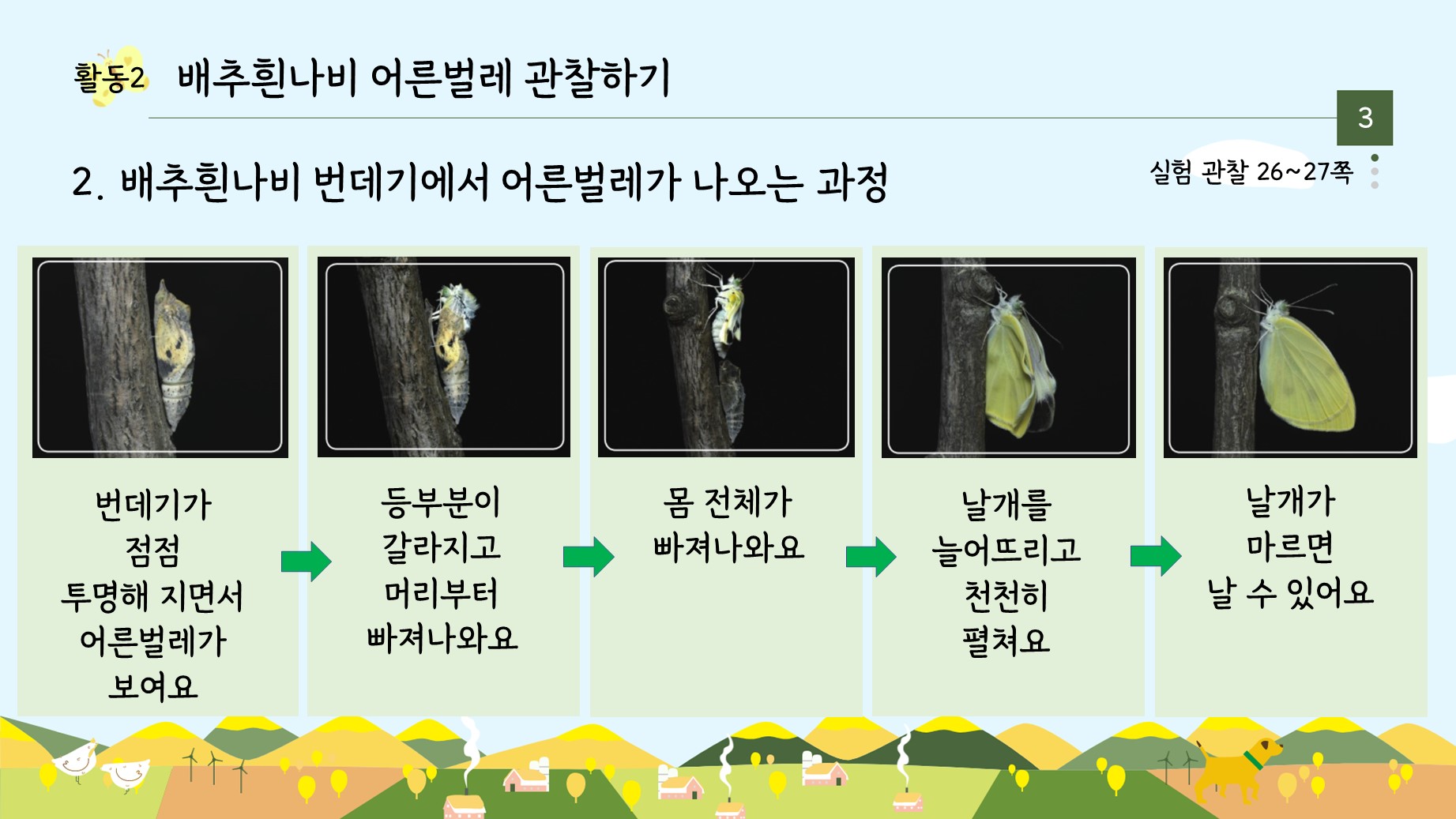 아꿈선/천재/3학년 1학기 3단원 동물의 한살이/5차시 배추흰나비 번데기와 어른벌레 관찰하기/수업용PPT : 3학년 과학실험콘텐츠, image size:1843x1037