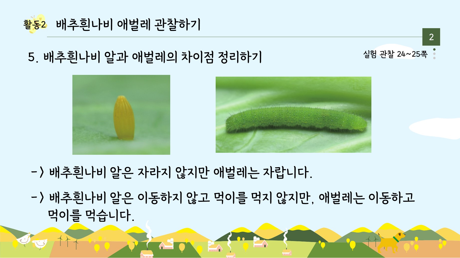 아꿈선/천재/3학년 1학기 3단원 동물의 한살이/4차시 배추흰나비 알과 애벌레 관찰하기/수업용Ppt : 3학년 과학실험콘텐츠