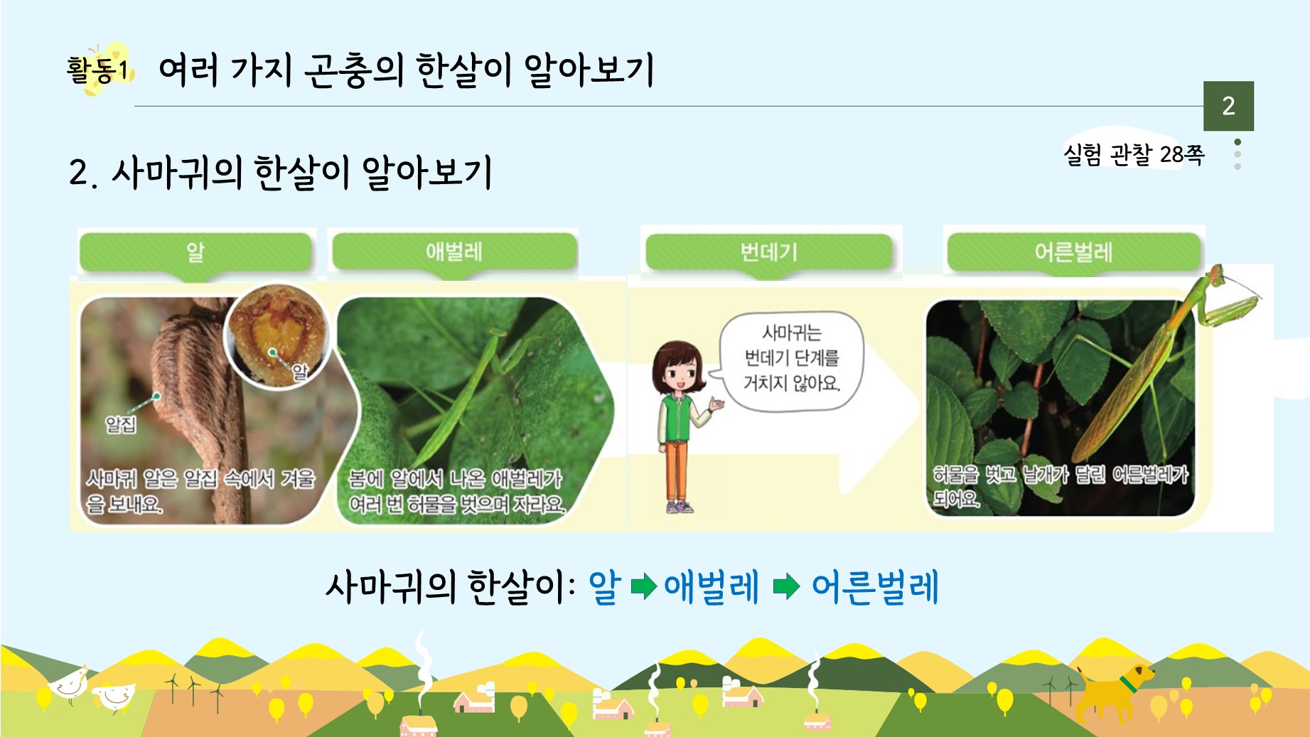 아꿈선/천재/3학년 1학기 3단원 동물의 한살이/6차시 여러 가지 곤충의 한살이 비교하기/수업용PPT : 3학년 과학실험콘텐츠 아꿈선/천재/3학년 1학기 3단원 동물의 한살이/6차시 여러 가지 곤충의 한살이 비교하기/수업용Ppt : 3학년 과학실험콘텐츠