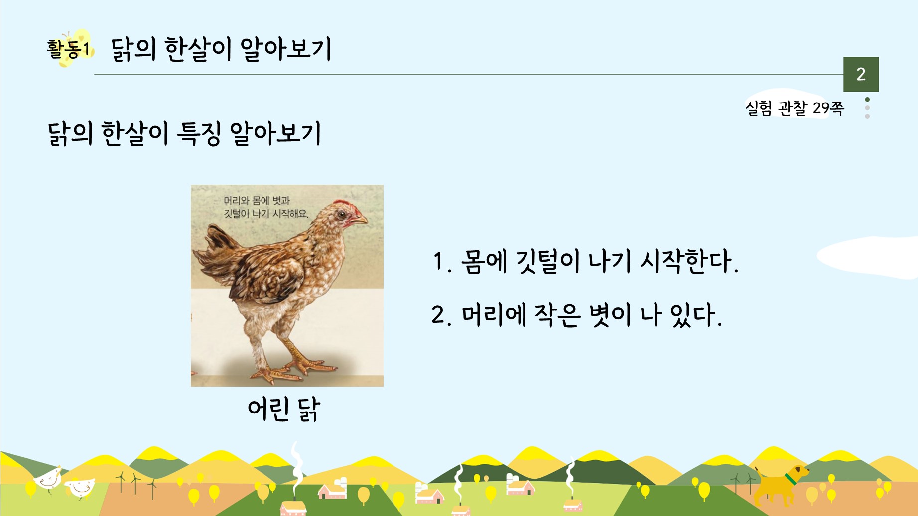 아꿈선/천재/3학년 1학기 3단원 동물의 한살이/7차시 알을 낳는 동물의 한살이 알아보기/수업용Ppt : 3학년 과학실험콘텐츠