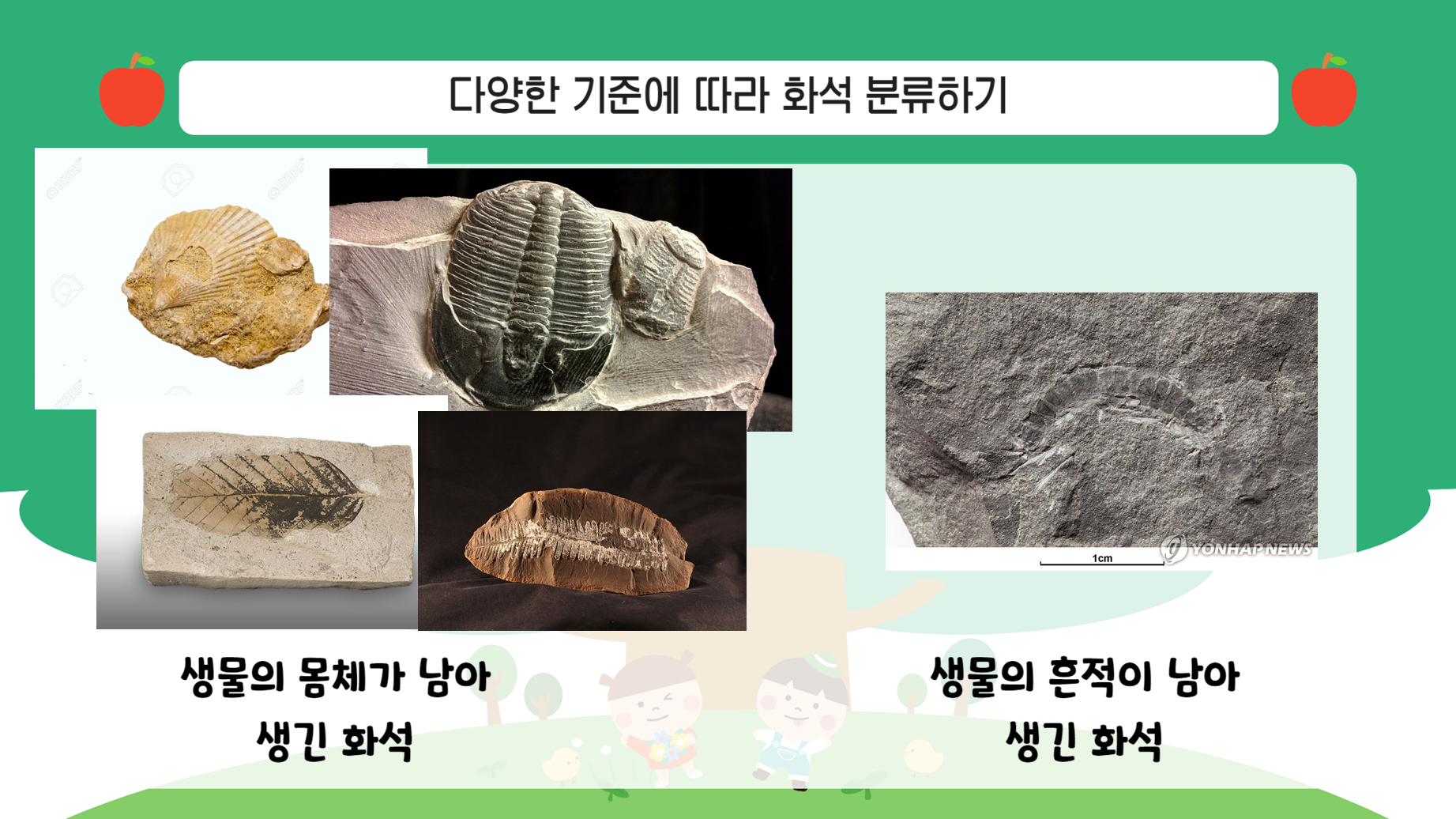 천재/4학년 1학기 2단원/지층과 화석/6차시/지층 속의 보물, 화석/수업용PPT/온라인공유가능 : 아꿈선