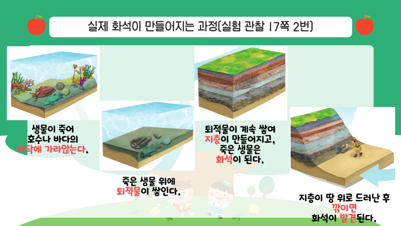 천재/4학년 1학기 2단원/지층과 화석/7차시/화석이 만들어지는 과정/수업용 PPT/영상자료포함 : 아꿈선
