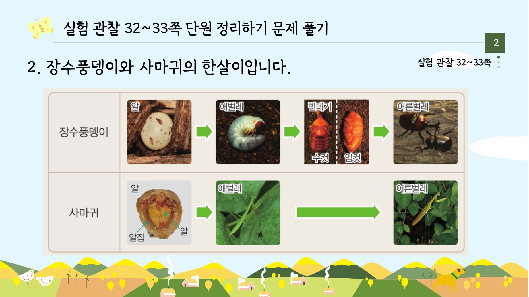 아꿈선/천재/3학년 1학기 3단원 동물의 한살이/11차시 동물의 한살이 단원 정리하기/수업용PPT : 3학년 과학실험콘텐츠 아꿈선/천재/3학년 1학기 3단원 동물의 한살이/11차시 동물의 한살이 단원 정리하기/수업용Ppt : 3학년 과학실험콘텐츠