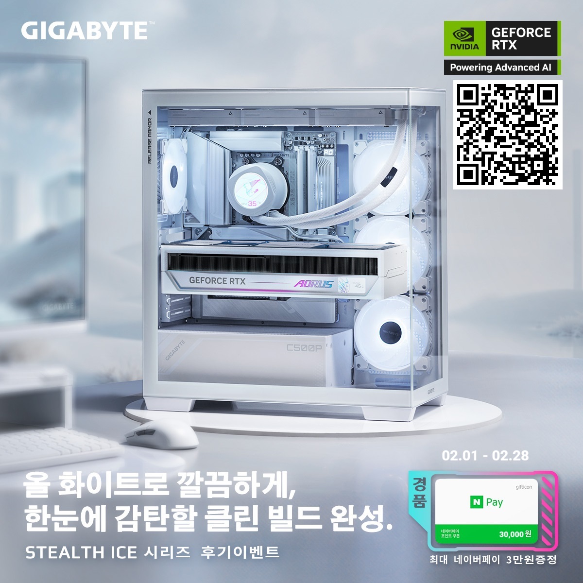 38bbe6433f53a.jpg