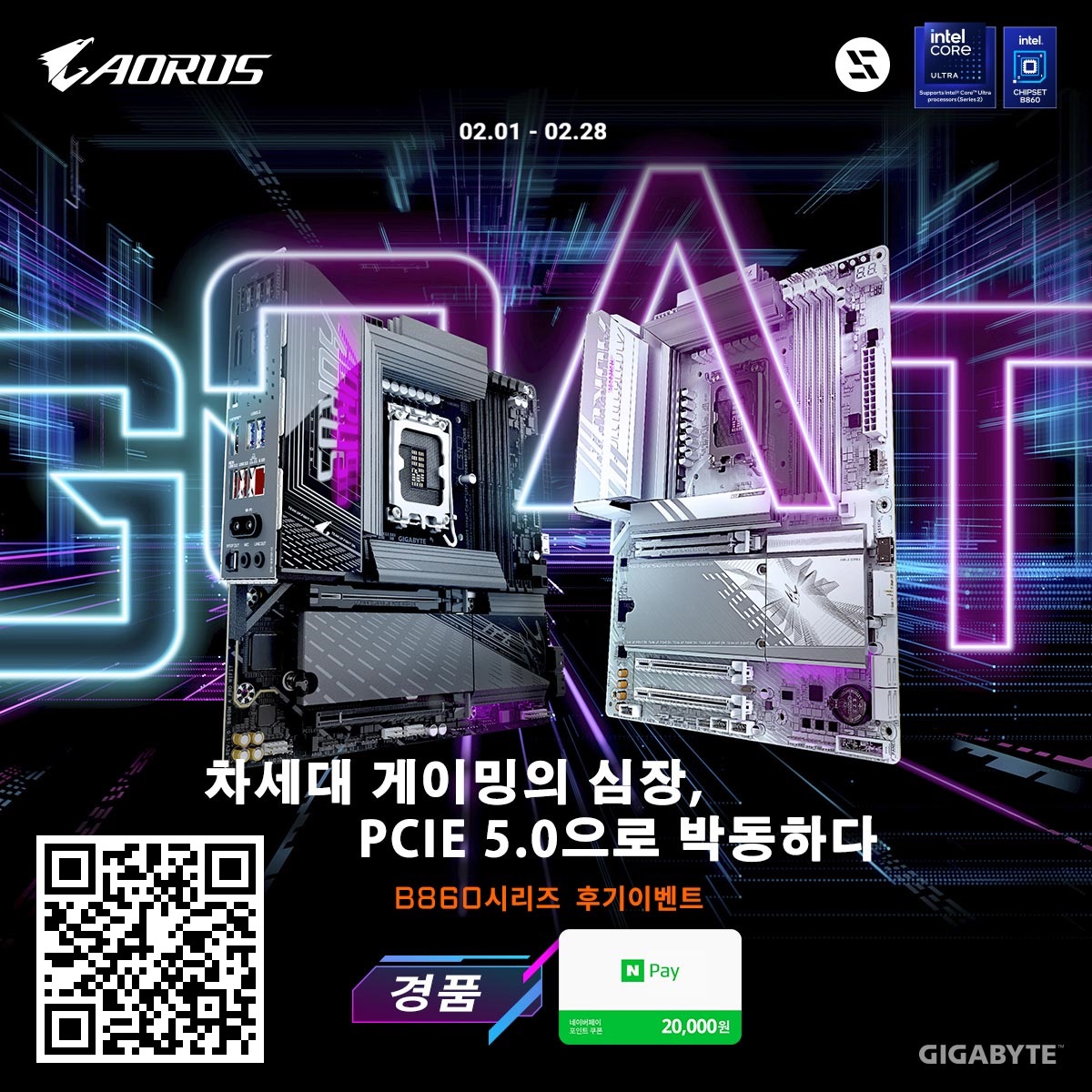 955c649a64528.jpg
