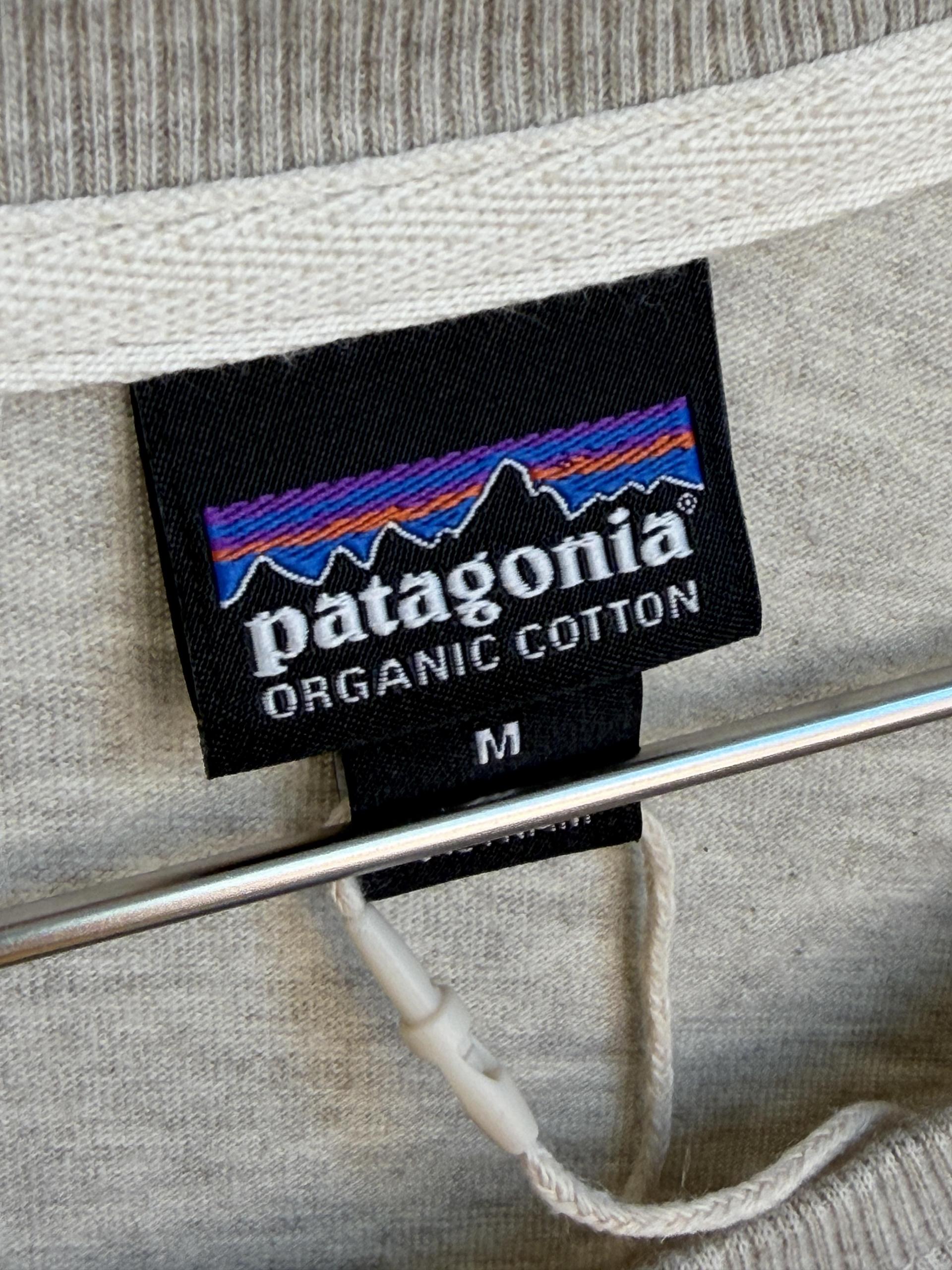 patagonia t-shirt