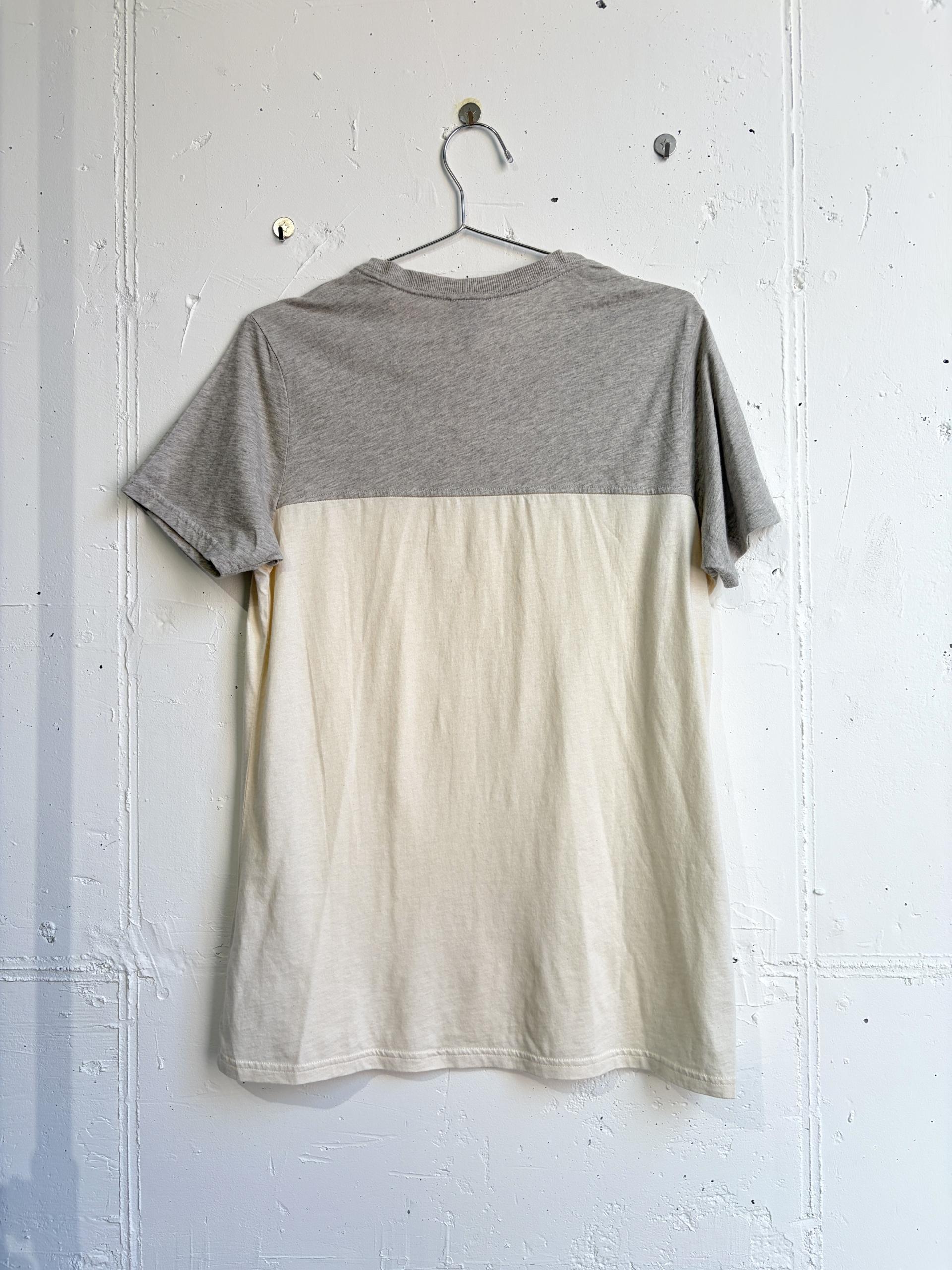 patagonia t-shirt