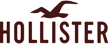 HOLLISTER jacket