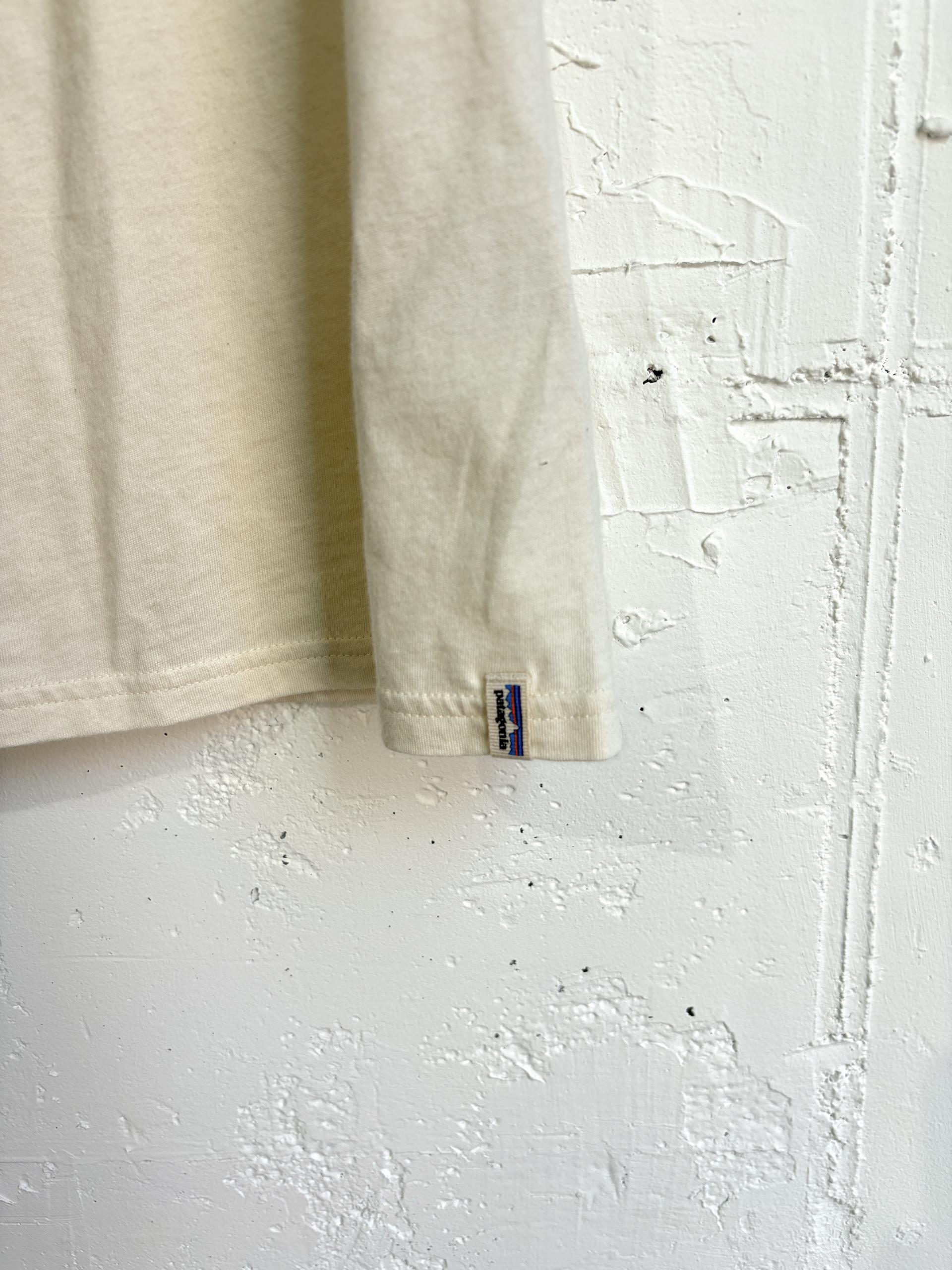 patagonia t-shirt