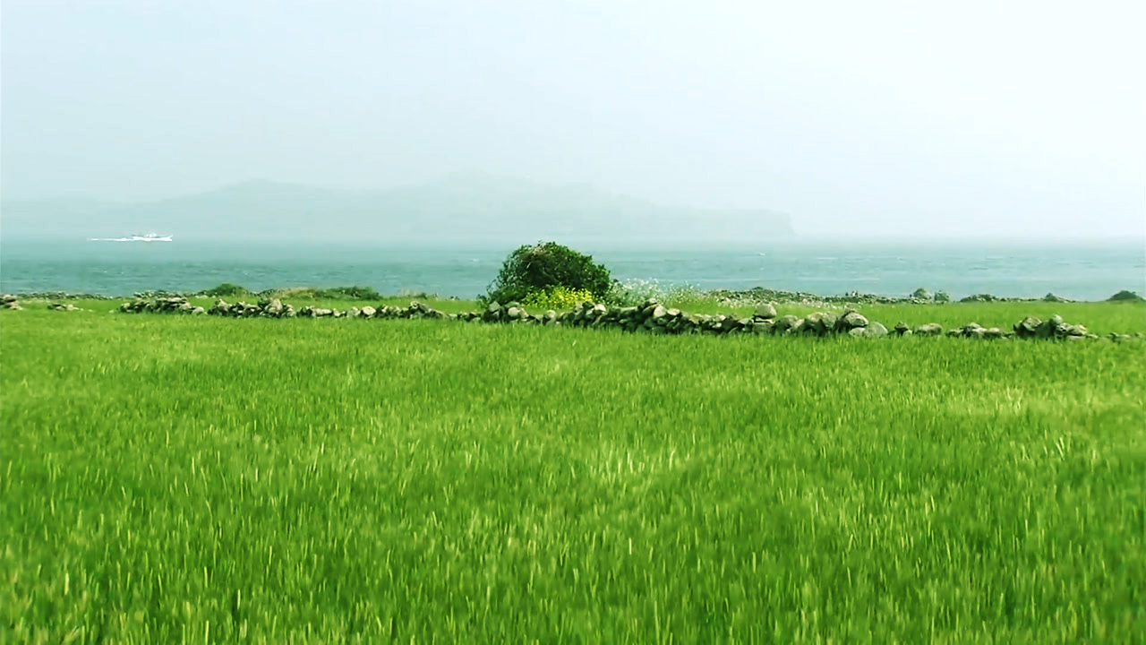 d0a3406a6b346.jpg