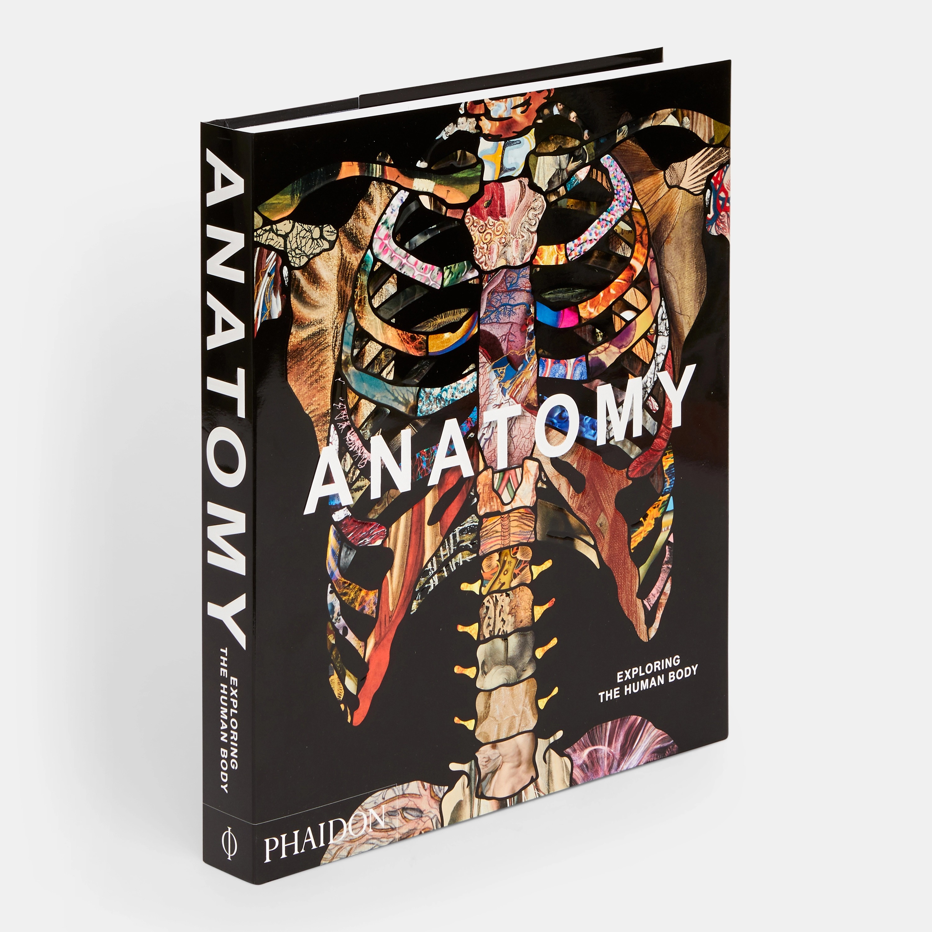 [ Phaidon ] Anatomy : Exploring the Human Body : 블룹 bloop ㅣ 프리미엄 키즈 라이프스타일