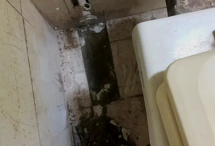 변기 옆 굴착