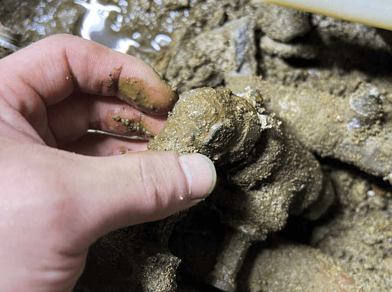 보일러 분배기 교체