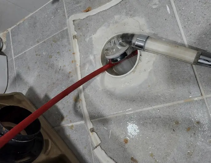 변기 전문가