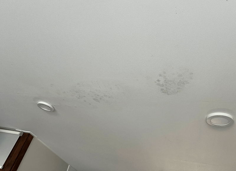 천장 곰팡이 제거