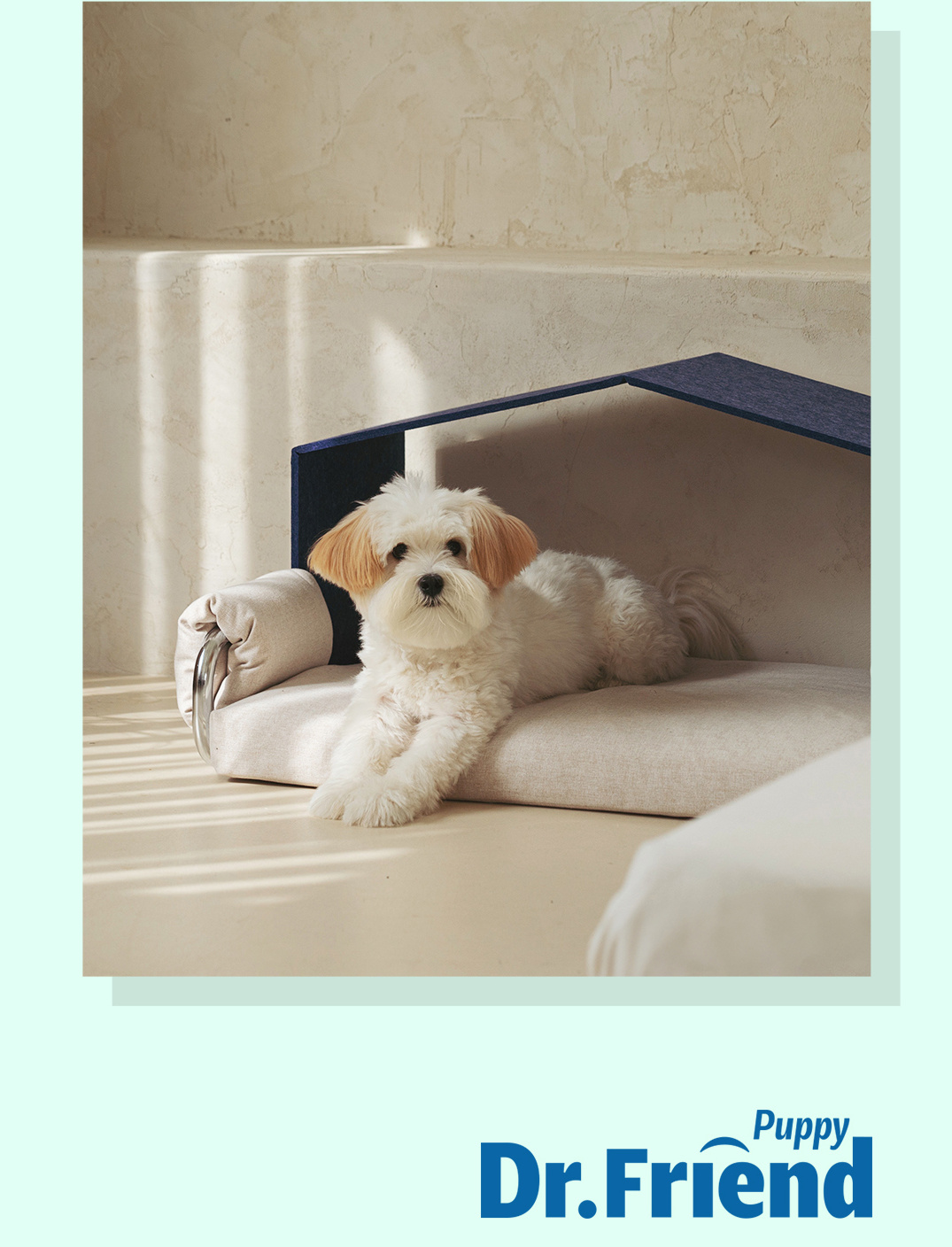 Scientific sleep solution for pets - Perpet Sleep Bed for health and recovery