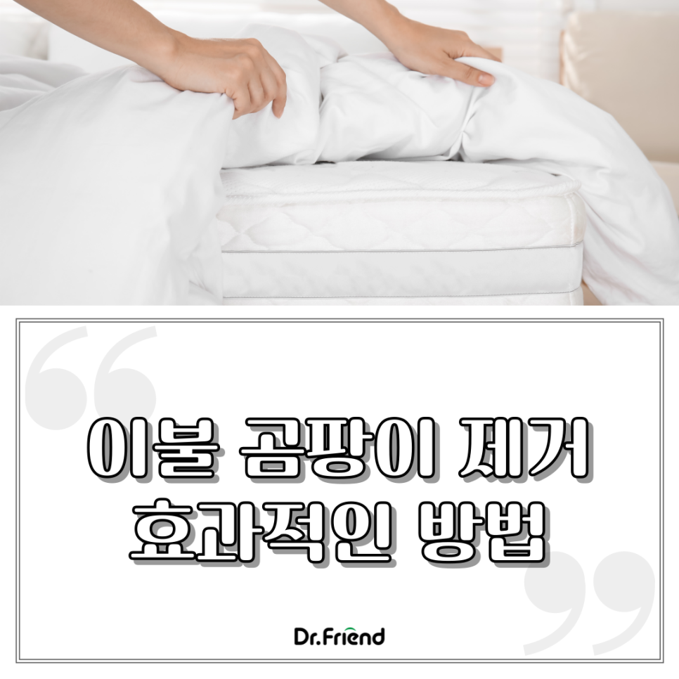 041e7d24236f9.png