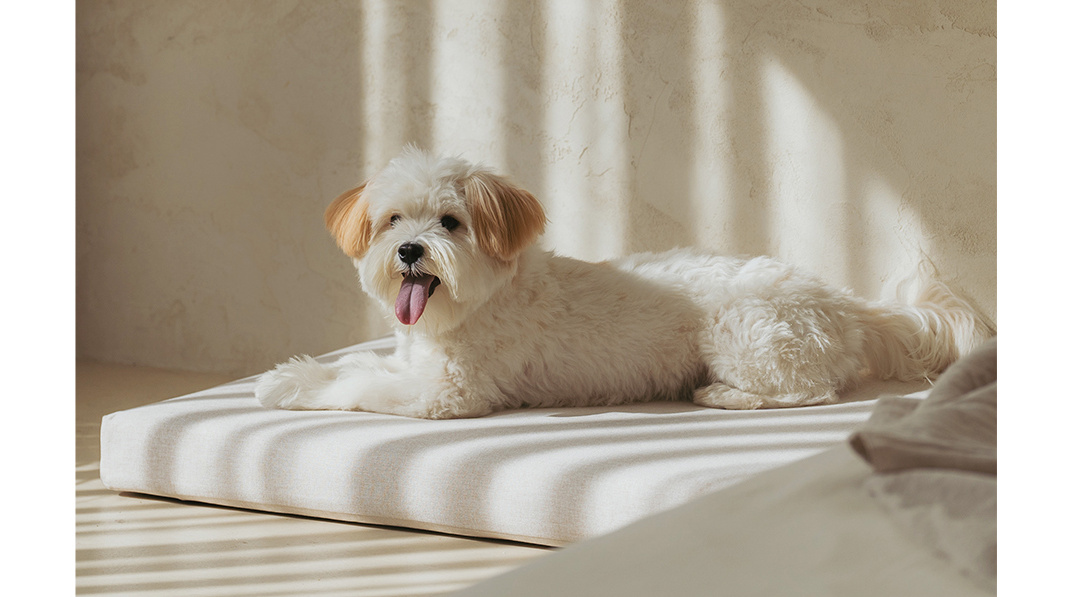 Providing the safest and most comfortable resting space with EMF shield