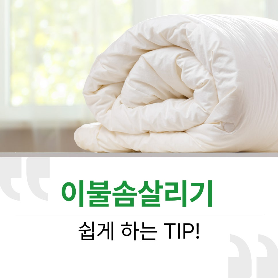 13d1341e9b204.png
