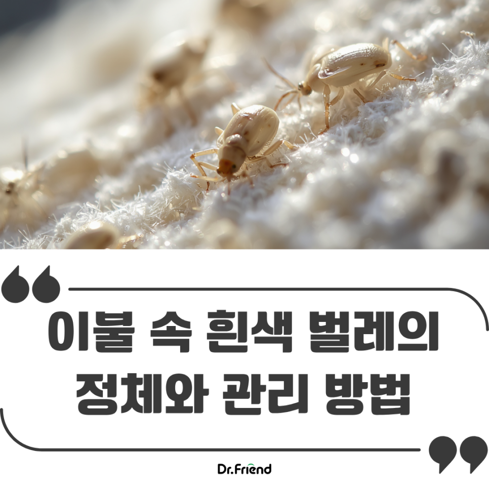 1824185ed7b04.png