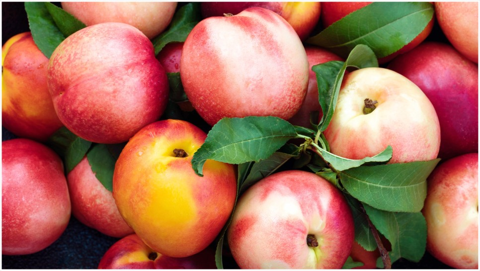 37e75dab5ad38.png