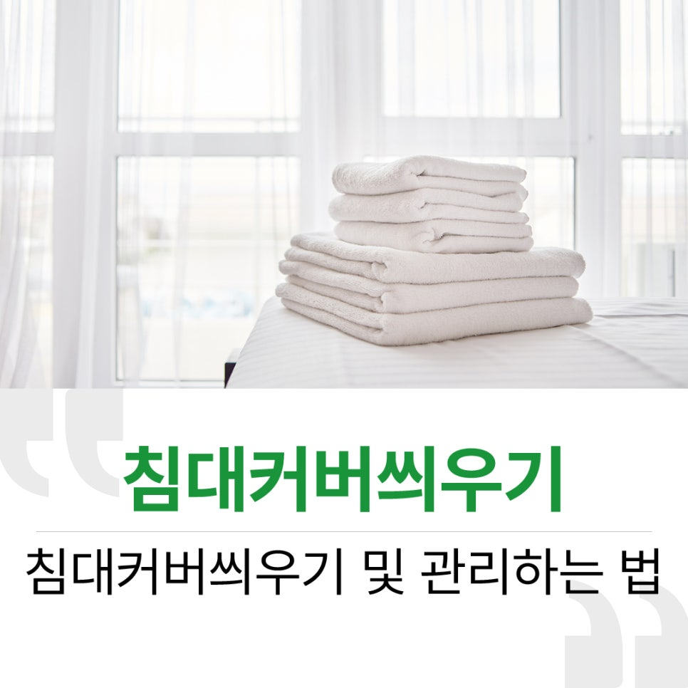 433813d2107c4.png